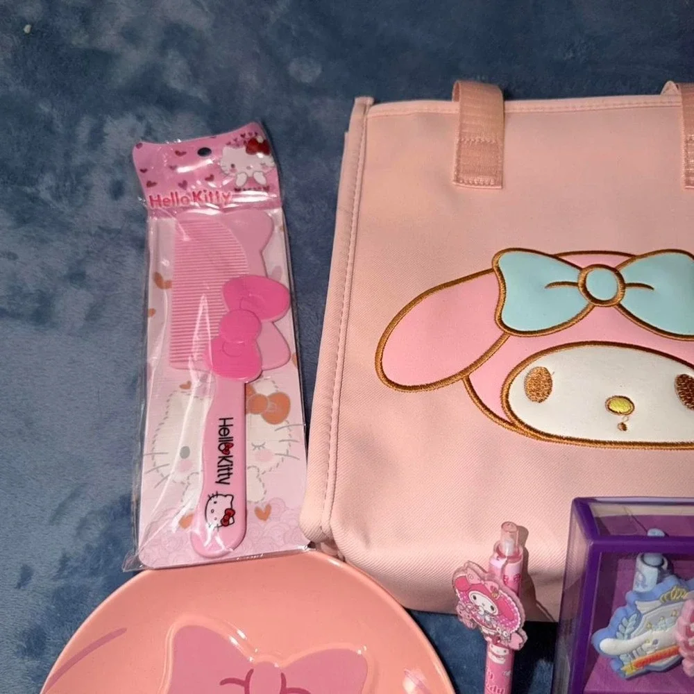 Sanrio My Melody pink lunch bag, plate, pen set, and glasses case